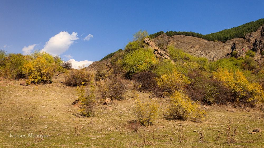 Աշնանային ներկապնակ