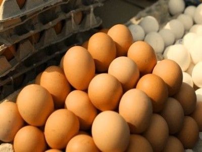 ՏՄՊՊՀ-ի պարզաբանումը ձվի գնաճի վերաբերյալ
