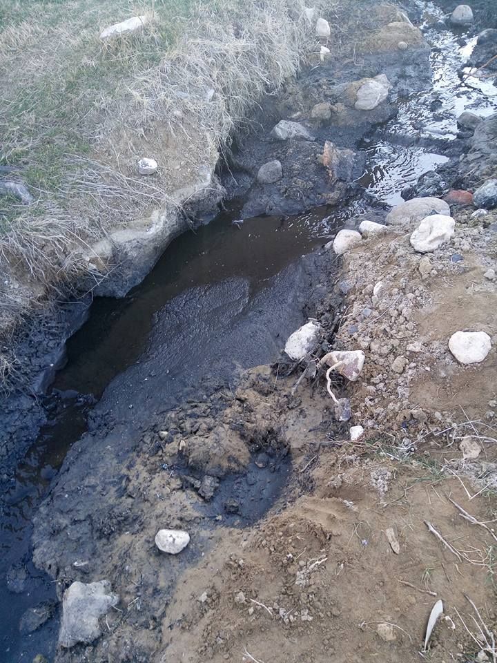 Ի՞նչ վիճակ է Նուբարաշենում