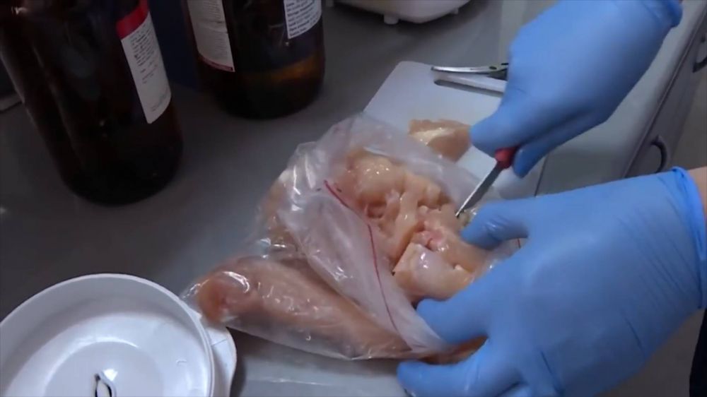 Կանխվել է 50 տոննա բրազիլական  հավի կրծքամսի ներկրումը