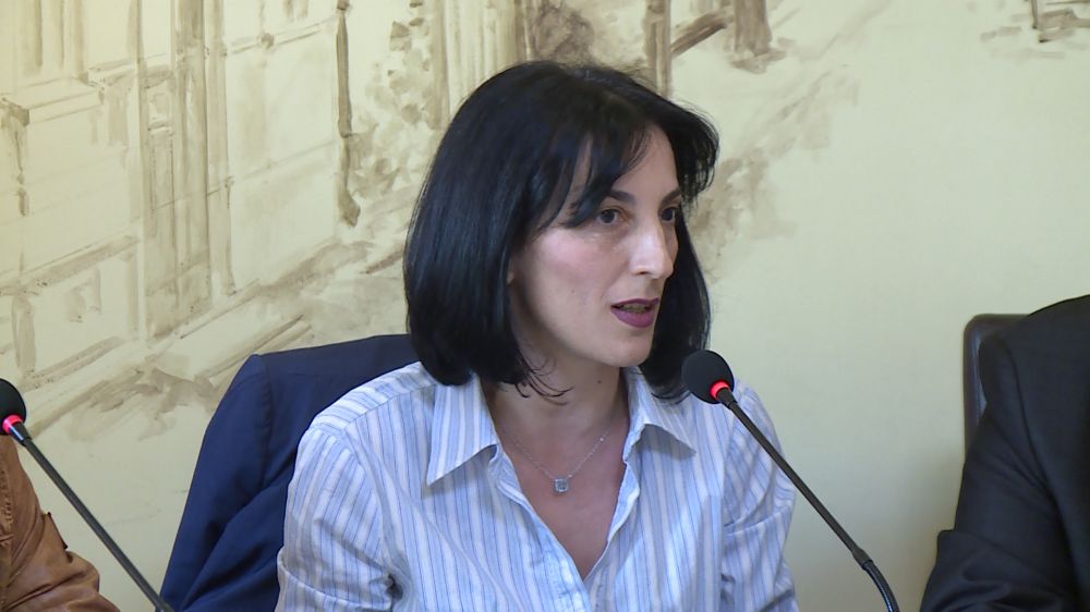 «Աժ թասիբի հարցն է այստեղ, չի գործում որպես օրենսդիր մարմին». Շուշան Դոյդոյան