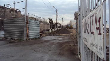 20 տարեկան 11 ծառ է կտրվել «օբյեկտի» շինարարության համար