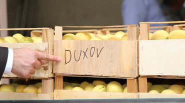 «Դուխով» մակնշմամբ արկղերը խիստ պահանջարկ են վայելում ՌԴ-ում․ Սուրեն Պապիկյան