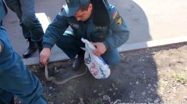 Փրկարարներն անվտանգ տարածք են տեղափոխել Զեյթունում հայտնաբերված օձին