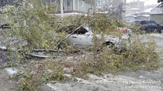 Երևանում ծառը պոկվել, ընկել է մեքենայի վրա