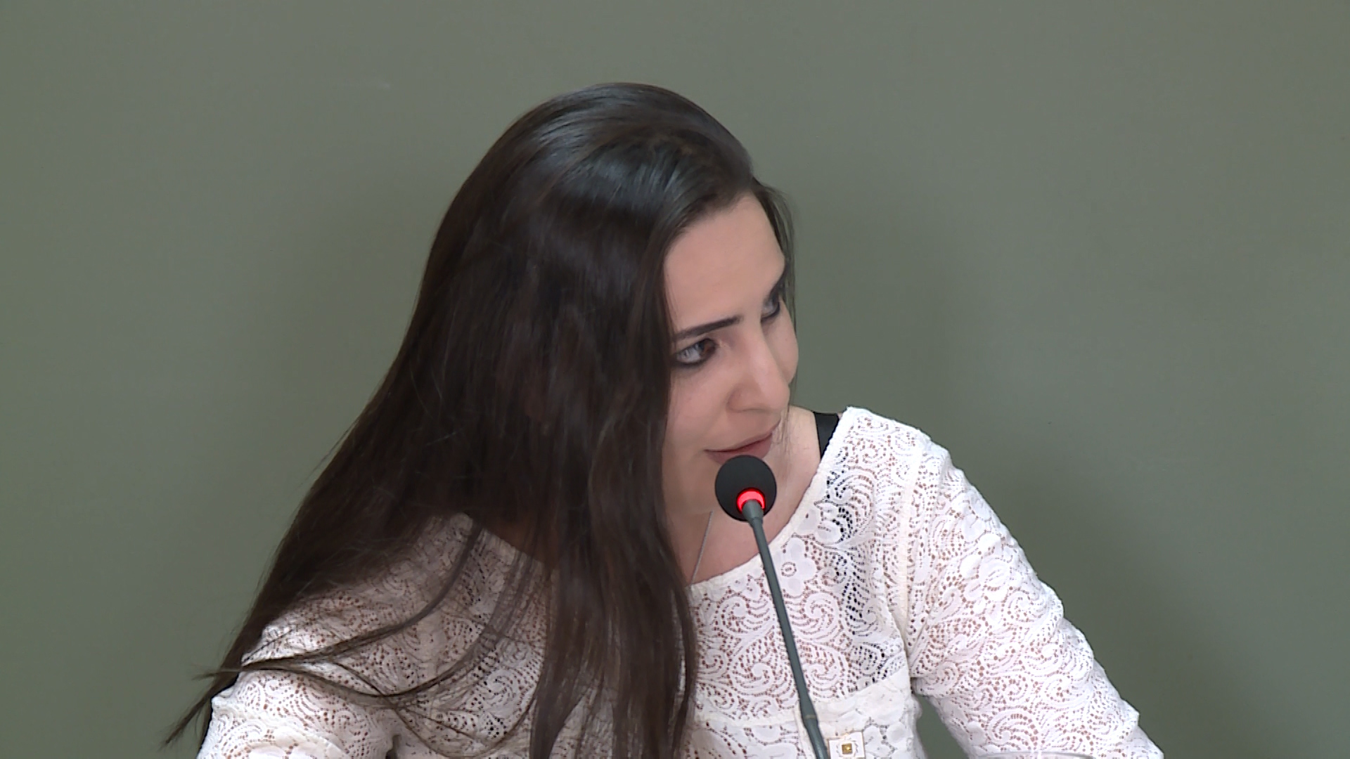 Իմ դեմ հարձակում է իրականացվում. Թեհմինա Վարդանյան