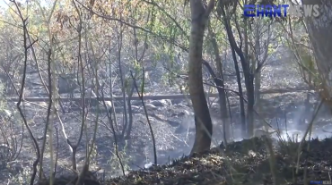 Հրդեհ «Հաղթանակ» զբոսայգում
