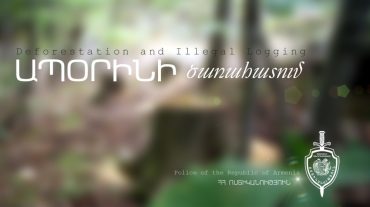 Ապօրինի ծառահատում Մարց գյուղի անտառում