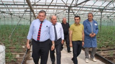 Ջրային ռեսուրսներին առնչվող խնդիրները կլուծվեն. Կոտայքի մարզպետն ու գյուղնախարարն այցելել են ջերմոցային տնտեսություններ