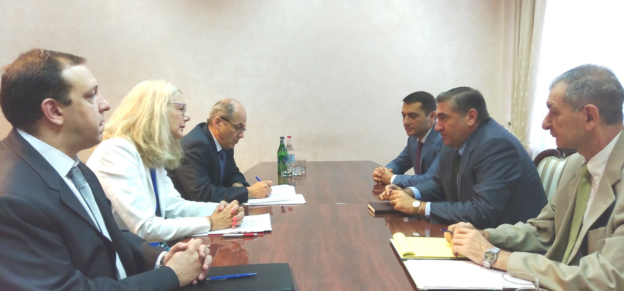 Գյուղոլորտի նոր դրամաշնորհային ծրագրի թիրախում կլինեն գյուղական փոքր ագրոբիզնեսները. Դեբորա Գրիզեր