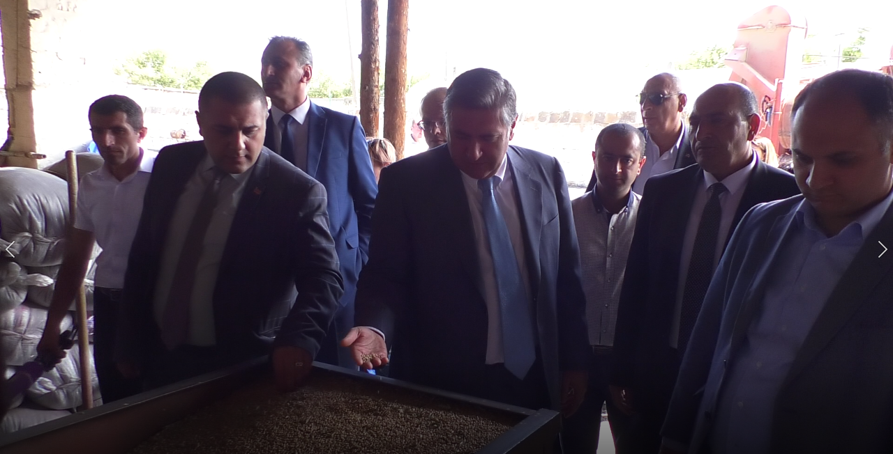 Հաջորդ տարվանից Հայաստանն անցում կկատարի միայն տեղական արտադրության սերմացուների մշակմանը