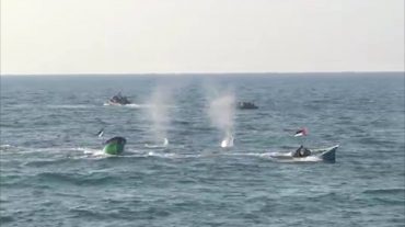 Պաղեստինցիների նավակները ծովում հայտնվել են իսրայելական կողմի կրակոցների տակ