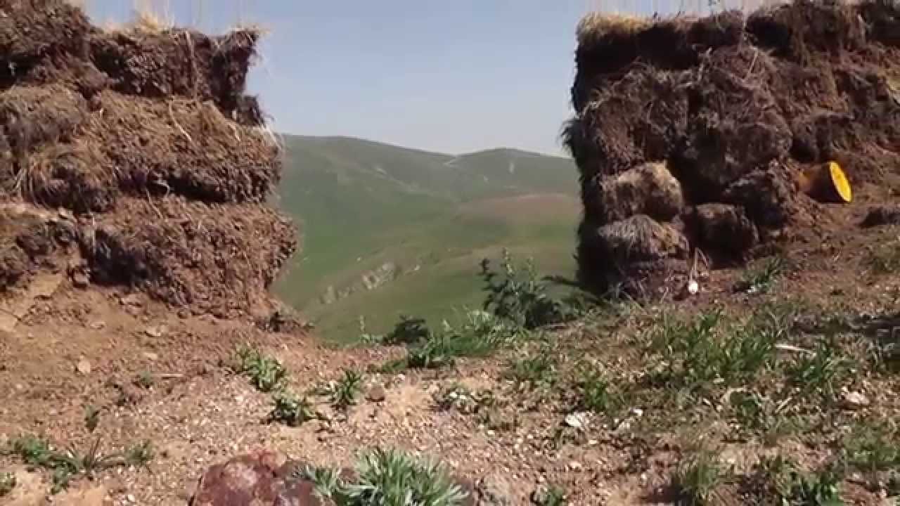 Բաղանիսում գիշերը անդորրը պահպանվել է