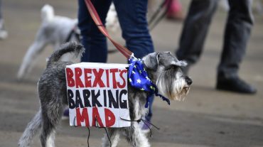 Բրիտանիայում հազարավոր շներ Brexit-ի դեմ ցուցանակներով փողոց են դուրս եկել