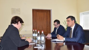 Պաշտպանը Կարմիր խաչի միջազգային կոմիտեի հայաստանյան պատվիրակության ղեկավարին է ներկայացրել Տավուշի մարզի փաստահավաք աշխատանքների արդյունքները