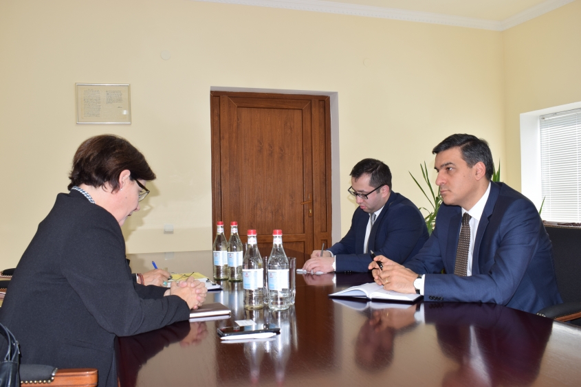 Պաշտպանը Կարմիր խաչի միջազգային կոմիտեի հայաստանյան պատվիրակության ղեկավարին է ներկայացրել Տավուշի մարզի փաստահավաք աշխատանքների արդյունքները