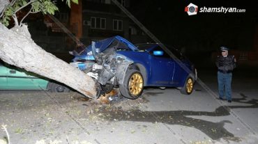 Երևանում 29-ամյա վարորդը Dodge մեքենայով տապալել է հաստաբուն ծառը