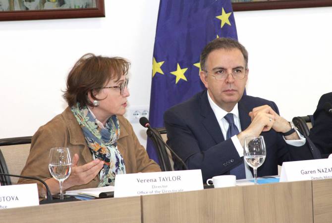 ԱԳ փոխնախարարն ընդունել է ԵԽ Ծրագրերի գլխավոր տնօրինության գրասենյակի տնօրենին