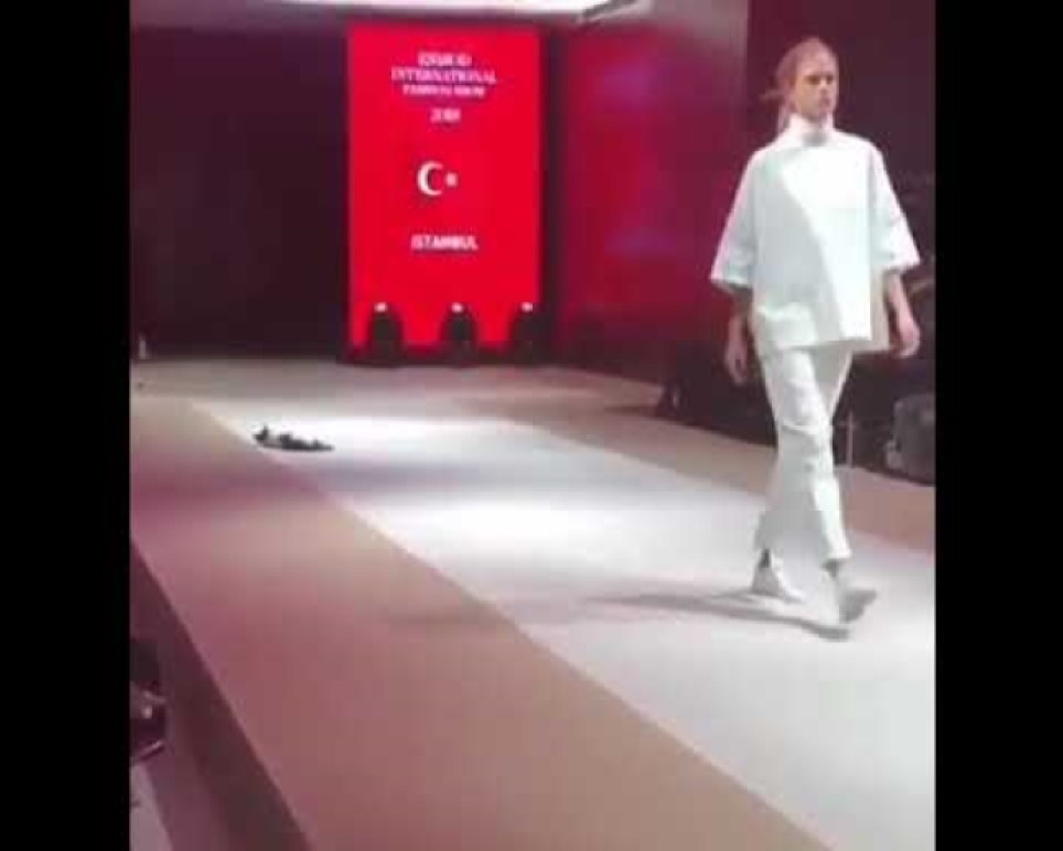 Թուրքիայում կատուն պոդիում է բարձրացել նորաձևության ցուցադրության ժամանակ