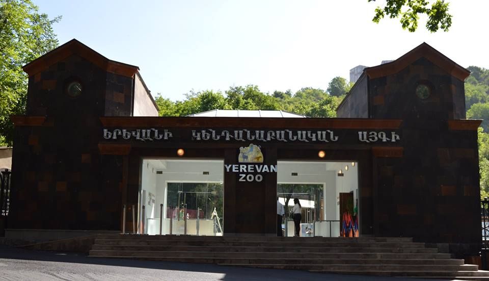 Երևանի քաղաքապետարանը կենդանաբանական այգում ստուգումներ կիրականացնի
