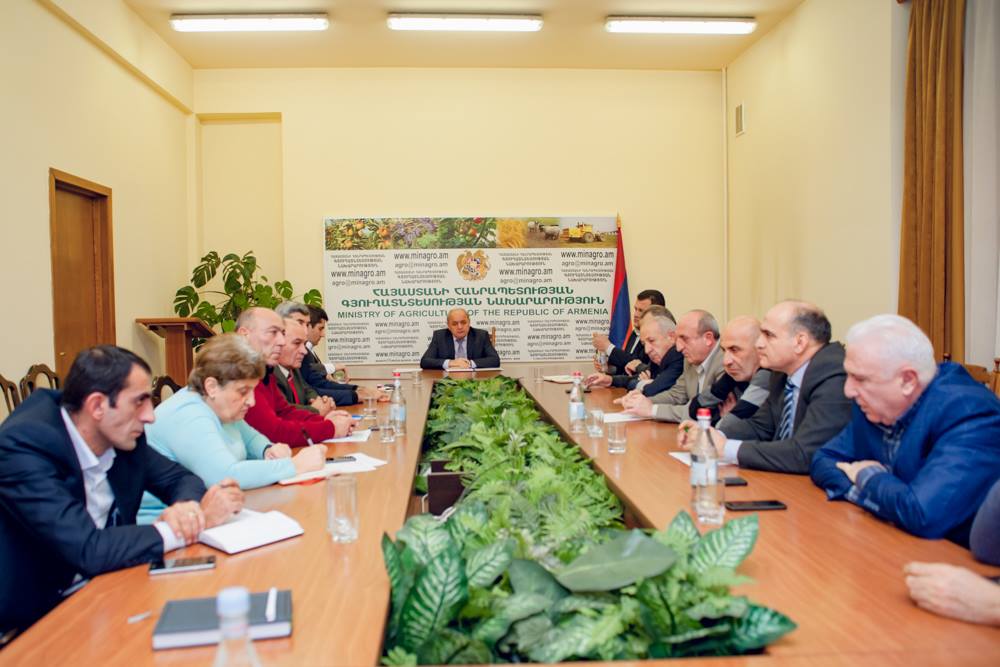 Լոլիկի հարավամերիկյան ցեցի հարցը քննարկման թեմա է դարձել