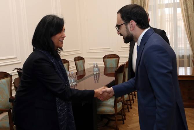 Տիգրան Ավինյանն ընդունել է «Վեոլիա» ընկերության Կենտրոնական և Արևելյան Եվրոպայի երկրների փոխնախագահին