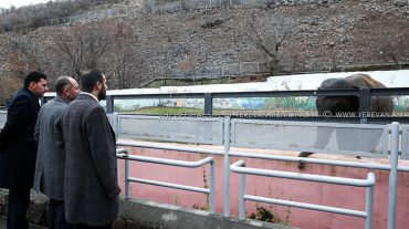 «Կենդանաբանական այգում ուսումնասիրությունների արդյունքներն ամբողջությամբ կներկայացվեն հանրությանը». Տիգրան Վիրաբյան
