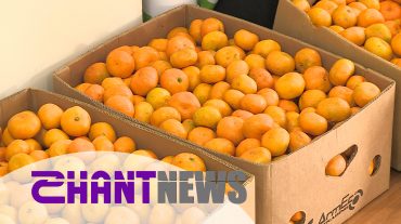 Մանդարինները կարող են խնդիր դառնալ ՔՈ-ի համար