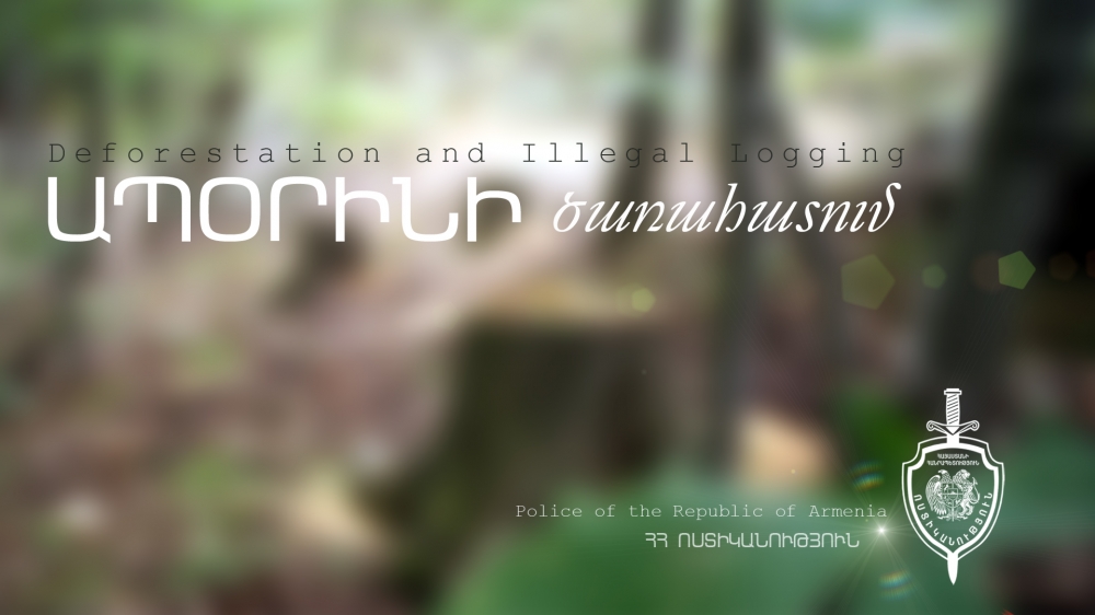 Տղամարդը 20 տարեկան ծիրանի ծառ է հատել