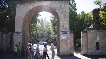Բողոքի ակցիա կենդանաբանական այգու դիմաց. ցուցարարները պահանջում են տնօրենի հրաժարականը