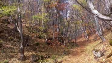 «Դիլիջան» ազգային պարկն արշավորդների համար առաջիկայում կունենա արահետների քարտեզ  
