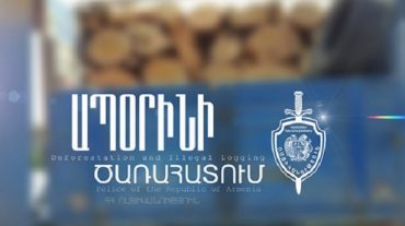 Լոռու մարզում՝ երկու մեքենաներում, ծառերի կոճղեր են հայտնաբերվել