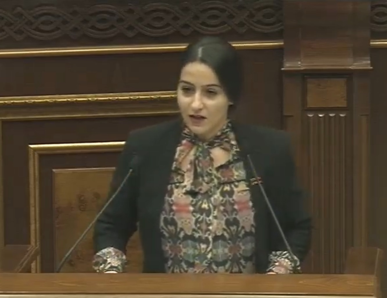 Տնտեսական աճի համար խթան հանդիսացող կինոինդուստրիան դուրս է մնացել ծրագրից. Աննա Կոստանյան