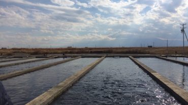 Վեց ամսում հայտնաբերվել է ջրօգտագործման 280 խախտում, նախորդ 3 տարում՝ ընդամենը 15 դեպք