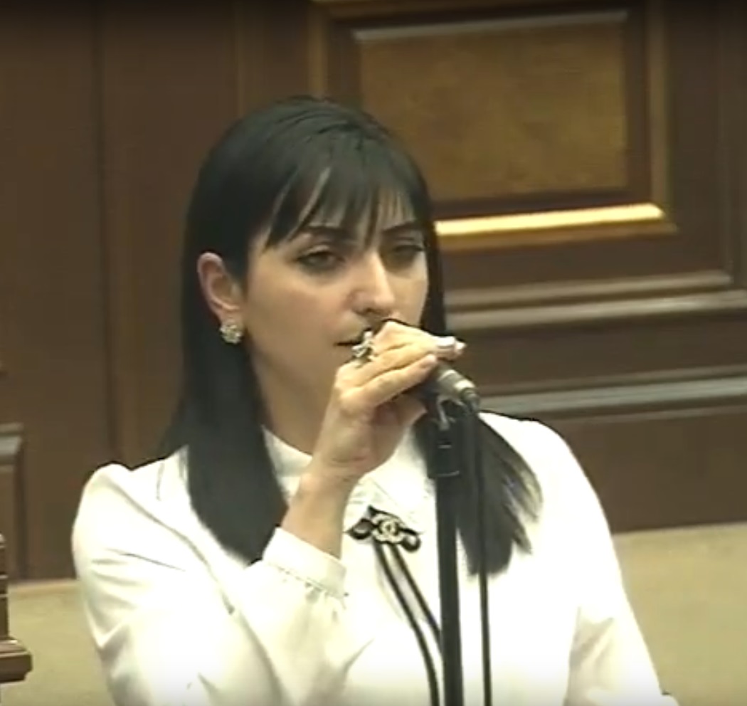 Գյուղատնտեսությունը որպես բիզնես արդյո՞ք այլևս գյուղացու համար եկամտաբեր չէ. Թագուհի Թովմասյան