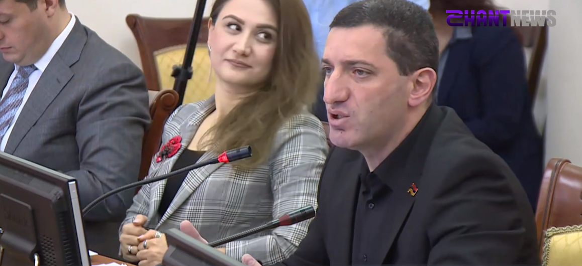 Ակնհայտ միտում կա մեր կողմից ներկայացված նախագծերին վետո դնելու. Գևորգ Պետրոսյան