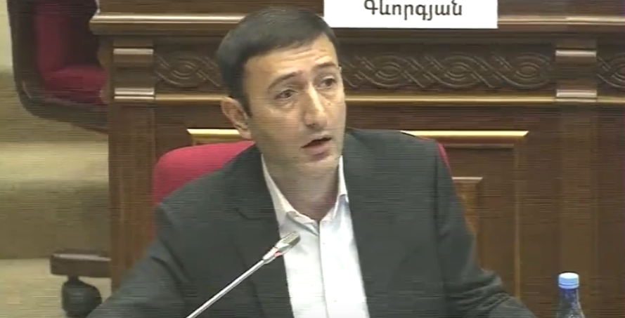 Քվեարկում ենք այն բյուջեն, որի կատարմանը մասնակցել են կոալիցիայի անդամներ ԲՀԿ-ն և ԼՀԿ-ն․ Թունյան