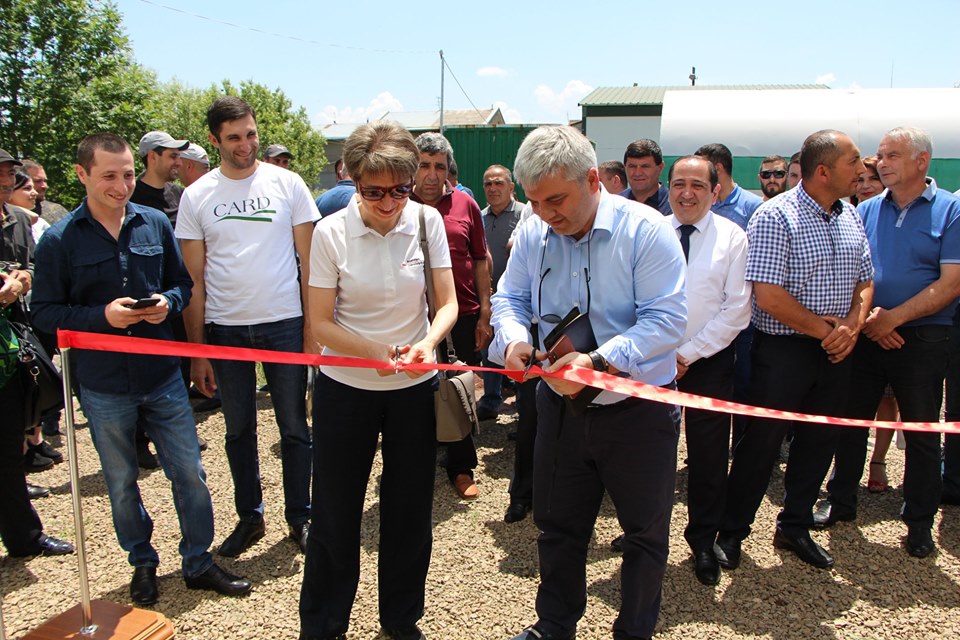 Ստեփանավանում նորարարական «խելացի» անասնաշենք է բացվել