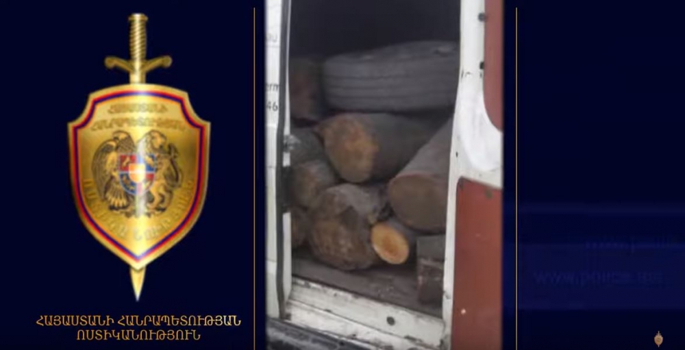 Լոռու ոստիկաններն ապօրինի ծառահատման հերթական դեպքն են բացահայտել