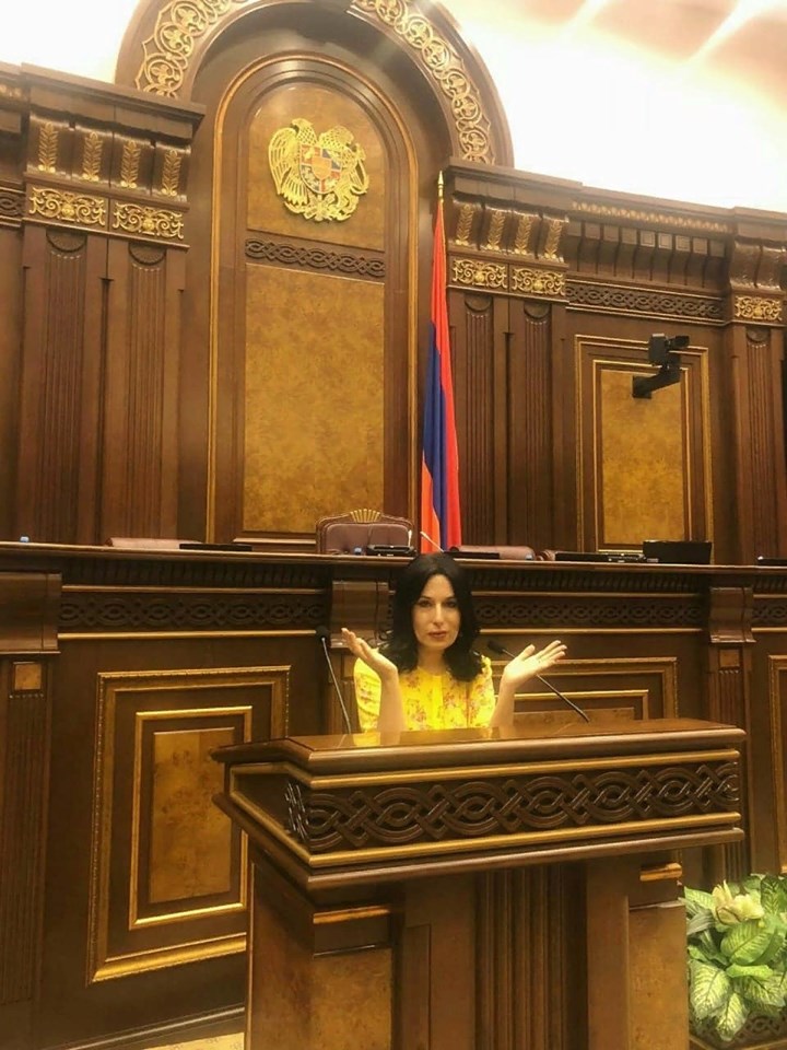 Կամուրջներ այրելը հարցի լավագույն լուծումը չէ. Նաիրա Զոհրաբյան