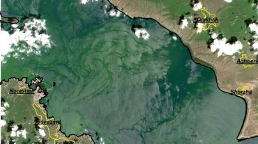 Նոր արբանյակային լուսանկարներ «ծաղկած» Սևանա լճից