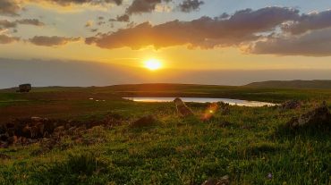 Հոտը հսկող շունն ու Գեղամա լեռների մայրամուտը