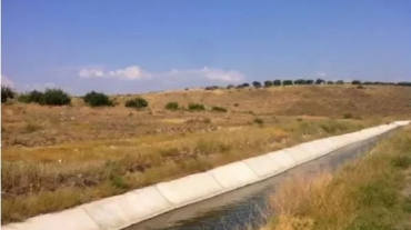Արմավիրի մարզում հողամասի ջրատար ակոսի մեջ անկենսունակ պտղի դի է հայտնաբերվել