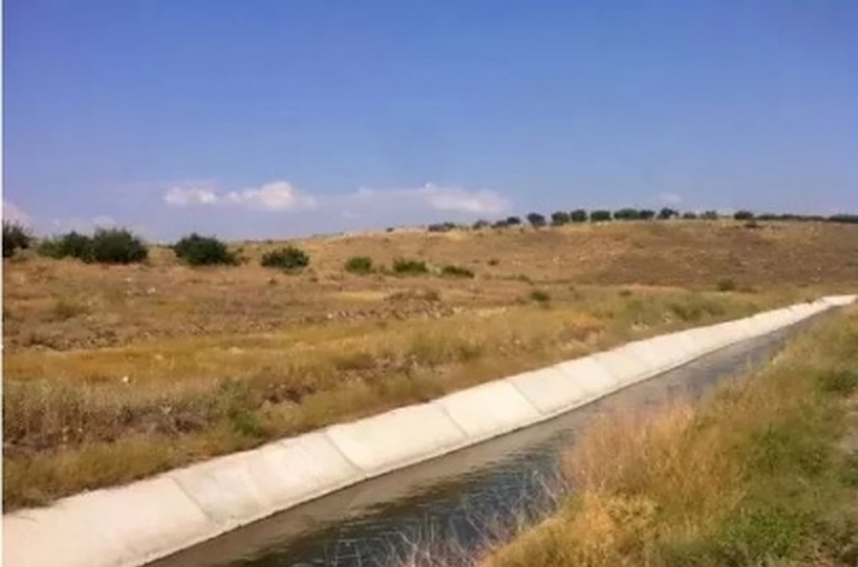 Արմավիրի մարզում հողամասի ջրատար ակոսի մեջ անկենսունակ պտղի դի է հայտնաբերվել