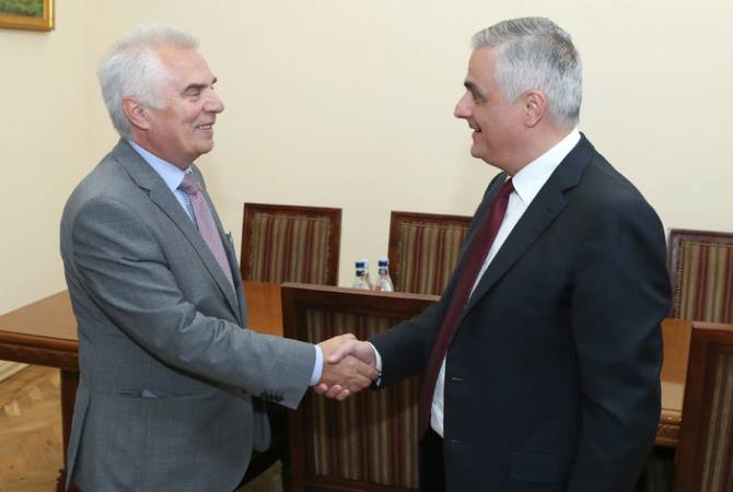 Փոխվարչապետ Մհեր Գրիգորյանն ընդունել է ԵՄ պատվիրակության ղեկավար Պյոտր Սվիտալսկիին