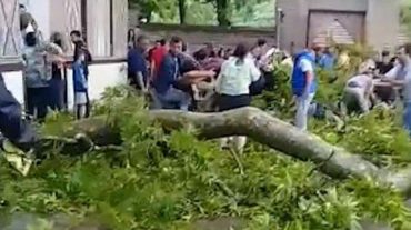 Ադրբեջանում 500-ամյա ծառի ճյուղն ընկել է զբոսաշրջիկների վրա․ կան տուժածներ