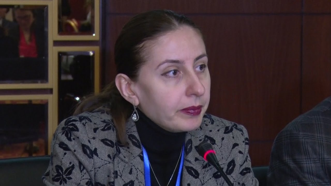 Վենետիկի հանձնաժողովի դիրքորոշման մասին խոսք լինել չի կարող. փաստաբան