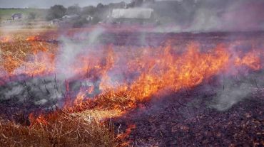 Հացավան գյուղի դաշտերում այրվել է մոտ 15 հա խոտածածկույթ. հրդեհը մարվել է