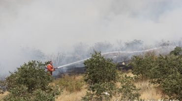 «Արևիկ» ազգային պարկի հրդեհը մեկուսացվել է․ այրվել է մոտ 12 հա բուսածածկույթ, եղևնուտ