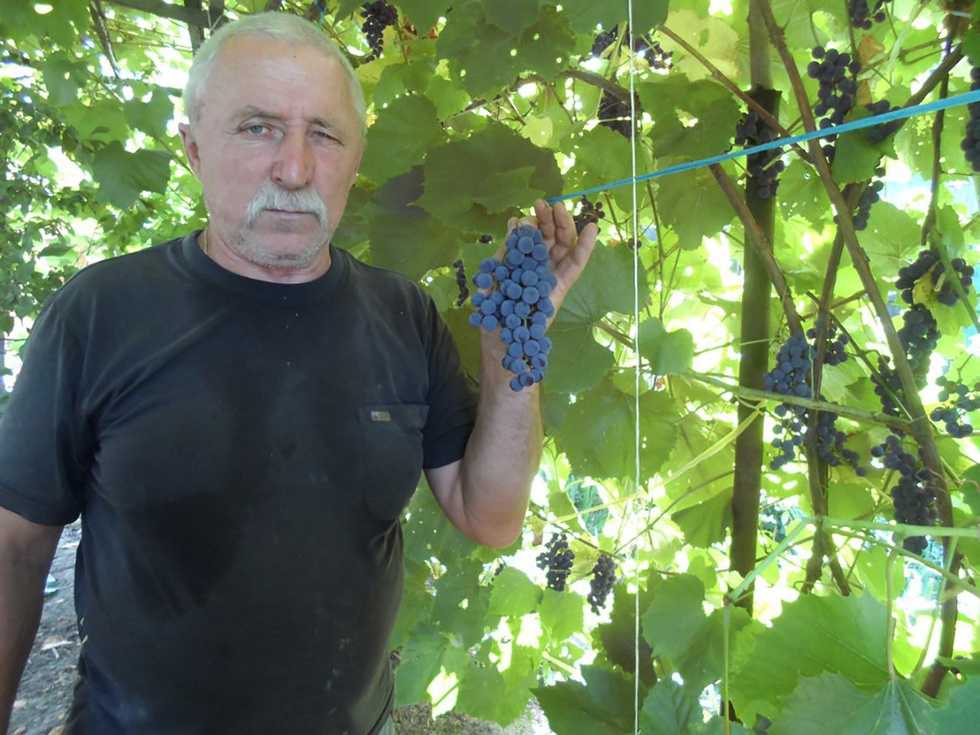 «Եթե չզանգեցի, ուրեմն արջն է կերել». ռուս տղամարդը կանխատեսել էր իր դաժան մահը